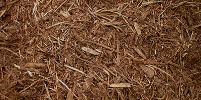 dark oak shredded bark