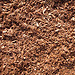 medium brown mulch